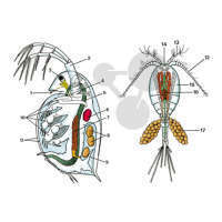 Biologie générale séries A-B-C-D