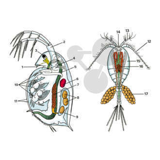 Biologie générale séries A-B-C-D