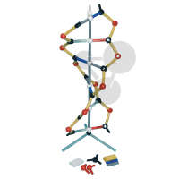 Orbit™: Kurzes DNA-Modell Premium