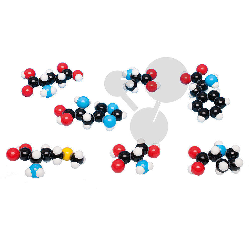 Aminosäuren, 7 Modelle,  Molymod®