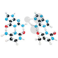 Les bases de l'ADN, Molymod®