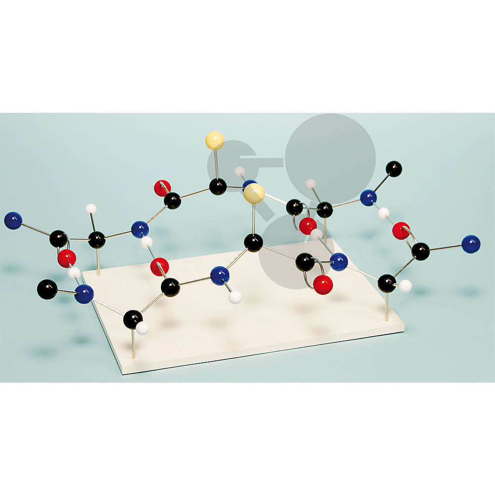 Biologische Molekülmodelle