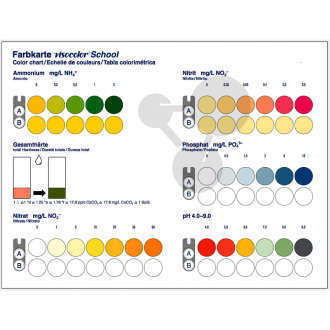 Echelle colorimétrique Visocolor®