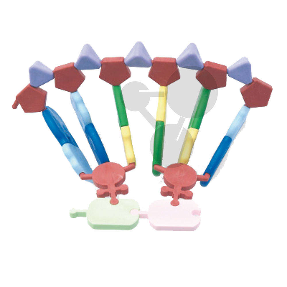 RNA-Modell, 12 Basen, Molymod®