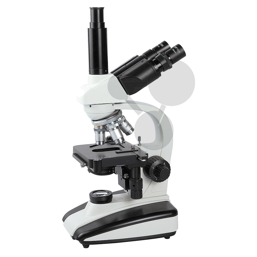 Microscope Xsp 136 D Svt Botanique Monocotyledones Conatex Materiel Didactique Scientifique